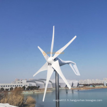 Générateur de turbines à vent horizontal de haute qualité 1KW